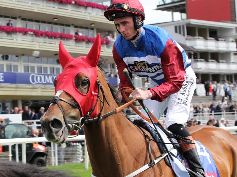 Jockey and racehorse heading out to the track